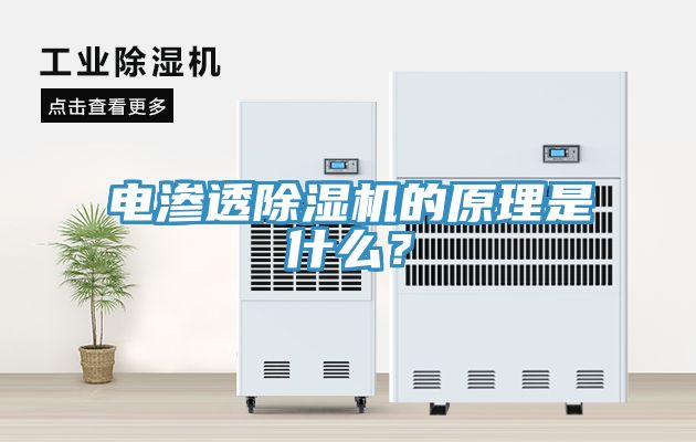 電滲透除濕機的原理是什么？