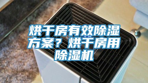 烘干房有效除濕方案？烘干房用除濕機