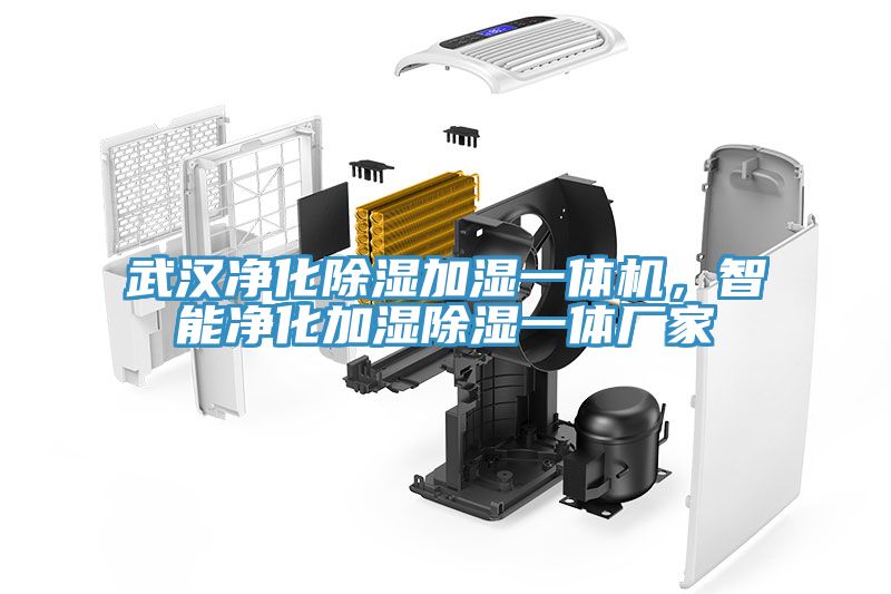 武漢凈化除濕加濕一體機(jī)，智能凈化加濕除濕一體廠家