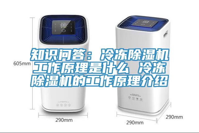 知識問答：冷凍除濕機工作原理是什么 冷凍除濕機的工作原理介紹