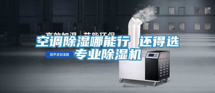 空調除濕哪能行 還得選專業(yè)除濕機