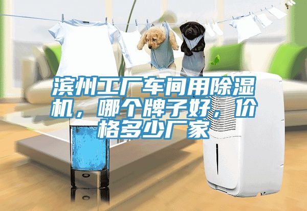 濱州工廠車間用除濕機(jī)，哪個(gè)牌子好，價(jià)格多少廠家