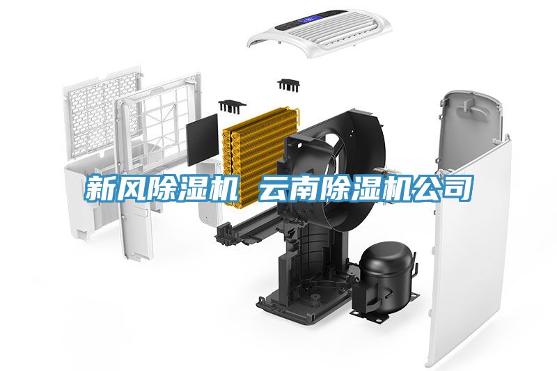 新風(fēng)除濕機 云南除濕機公司