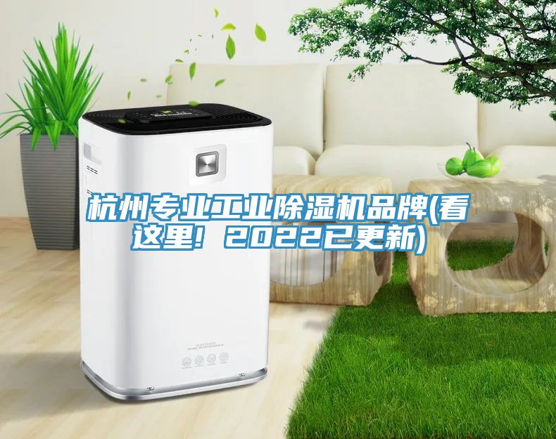 杭州專業(yè)工業(yè)除濕機(jī)品牌(看這里! 2022已更新)