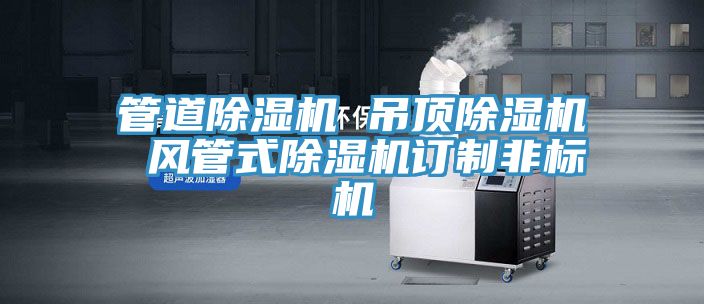 管道除濕機 吊頂除濕機 風(fēng)管式除濕機訂制非標機