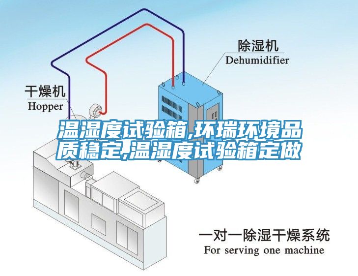 溫濕度試驗(yàn)箱,環(huán)瑞環(huán)境品質(zhì)穩(wěn)定,溫濕度試驗(yàn)箱定做