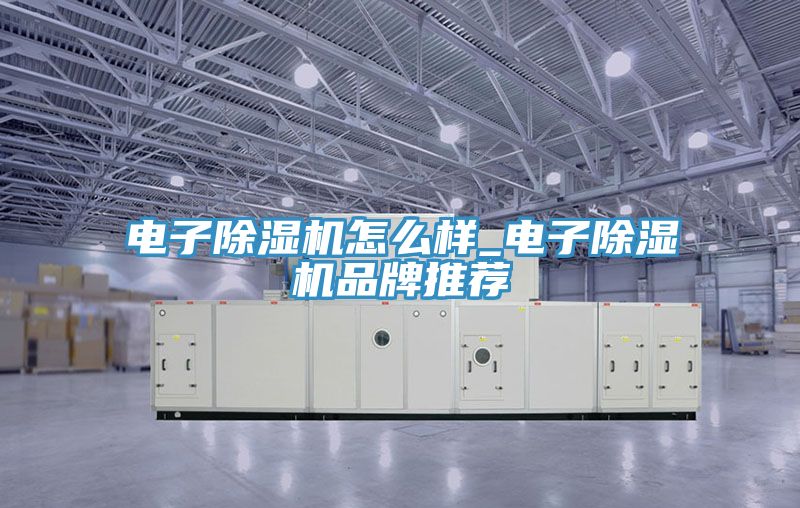 電子除濕機怎么樣_電子除濕機品牌推薦