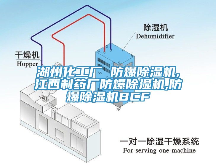 湖州化工廠 防爆除濕機,江西制藥廠防爆除濕機,防爆除濕機BCF