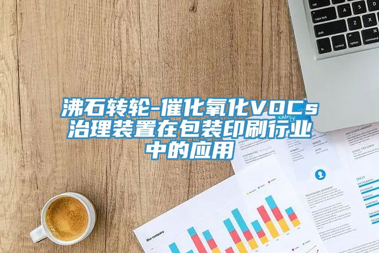 沸石轉(zhuǎn)輪-催化氧化VOCs治理裝置在包裝印刷行業(yè)中的應(yīng)用