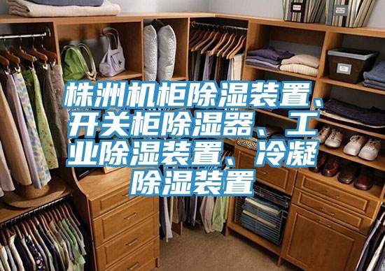 株洲機柜除濕裝置、開關柜除濕器、工業(yè)除濕裝置、冷凝除濕裝置