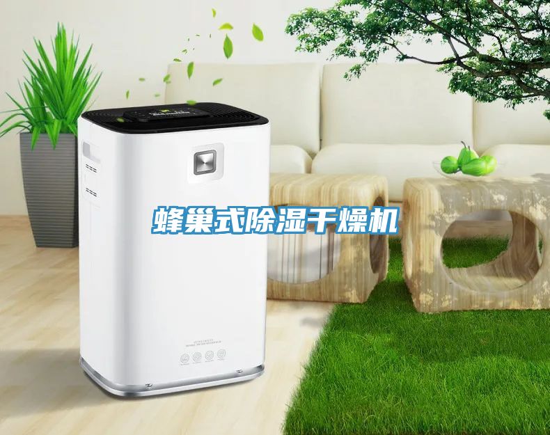 蜂巢式除濕干燥機