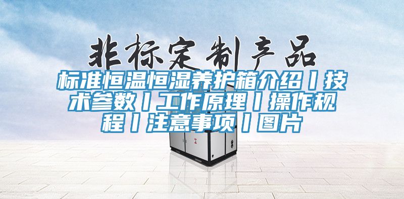 標準恒溫恒濕養(yǎng)護箱介紹丨技術(shù)參數(shù)丨工作原理丨操作規(guī)程丨注意事項丨圖片