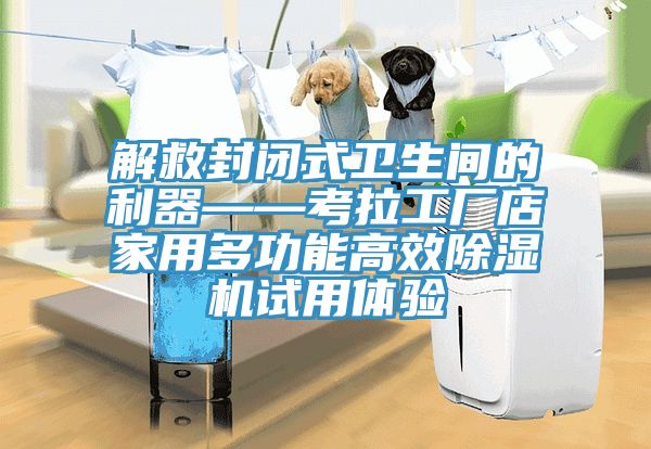 解救封閉式衛(wèi)生間的利器——考拉工廠店家用多功能高效除濕機(jī)試用體驗(yàn)