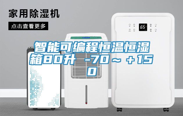 智能可編程恒溫恒濕箱80升 -70～＋150℃