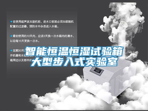 智能恒溫恒濕試驗箱大型步入式實驗室