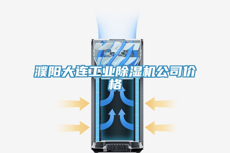 濮陽大連工業(yè)除濕機公司價格