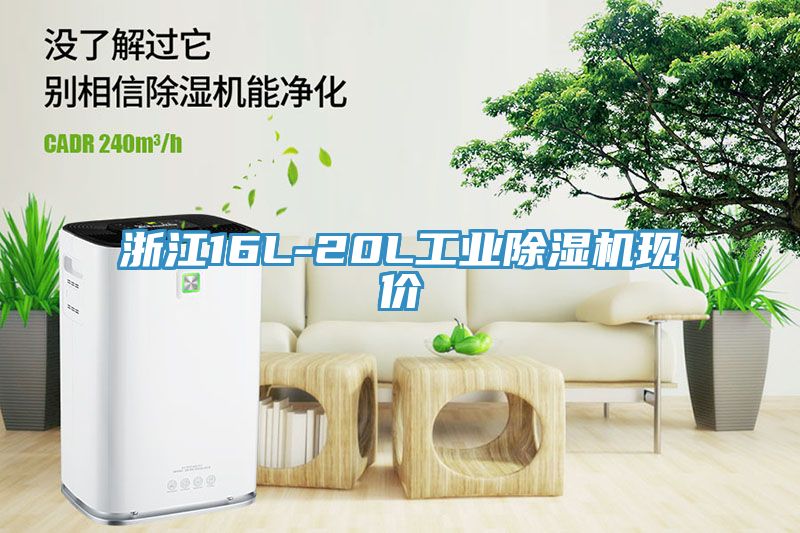 浙江16L-20L工業(yè)除濕機(jī)現(xiàn)價(jià)