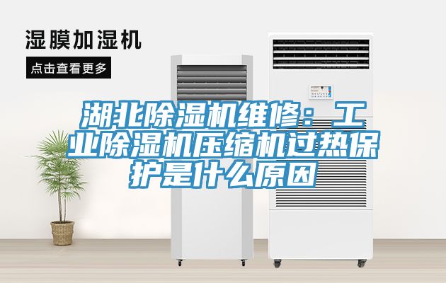 湖北除濕機維修：工業(yè)除濕機壓縮機過熱保護是什么原因