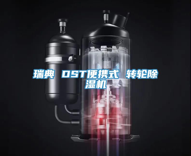 瑞典 DST便攜式 轉輪除濕機