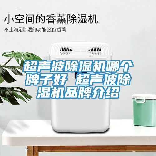 超聲波除濕機哪個牌子好 超聲波除濕機品牌介紹