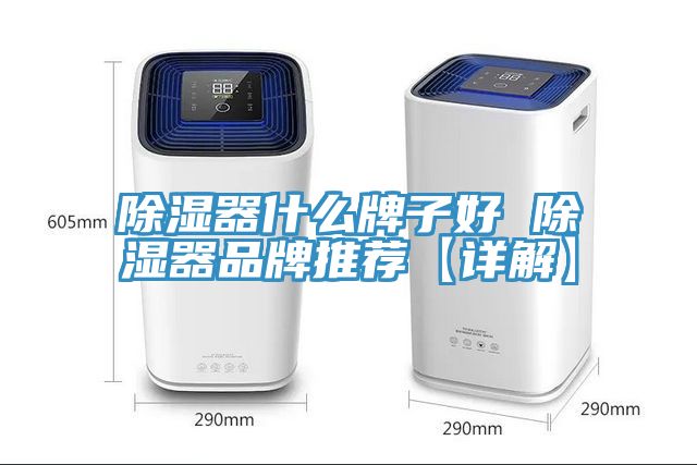 除濕器什么牌子好 除濕器品牌推薦【詳解】