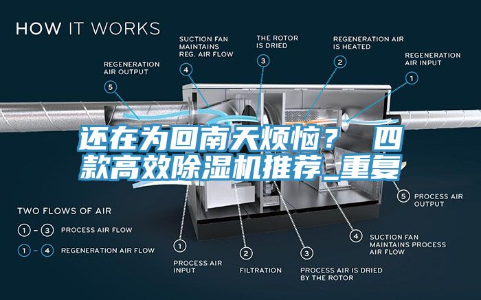 還在為回南天煩惱？ 四款高效除濕機推薦_重復