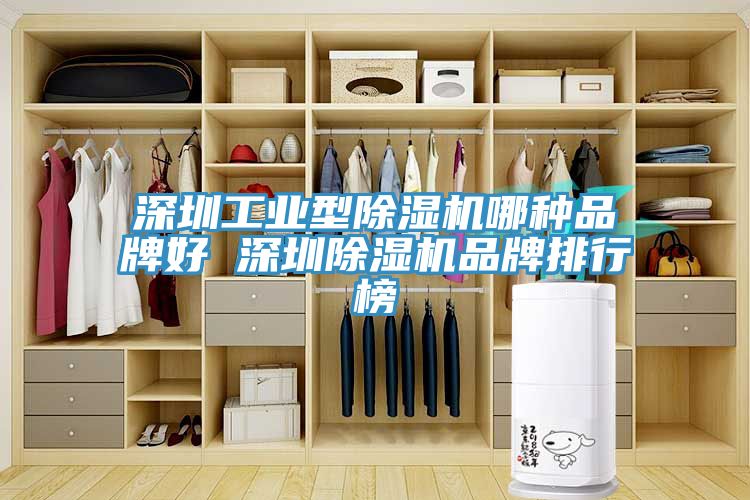 深圳工業(yè)型除濕機(jī)哪種品牌好 深圳除濕機(jī)品牌排行榜