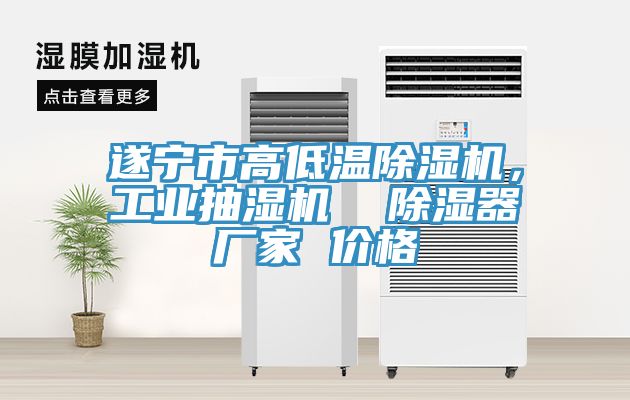 遂寧市高低溫除濕機(jī)，工業(yè)抽濕機(jī)  除濕器廠家 價(jià)格