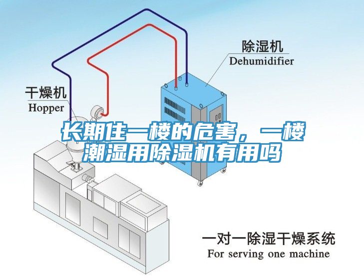 長(zhǎng)期住一樓的危害，一樓潮濕用除濕機(jī)有用嗎