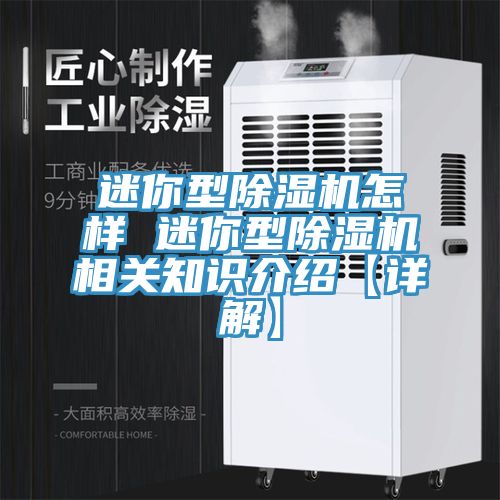 迷你型除濕機怎樣 迷你型除濕機相關(guān)知識介紹【詳解】