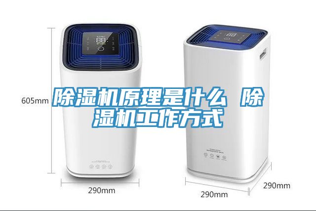 除濕機原理是什么 除濕機工作方式