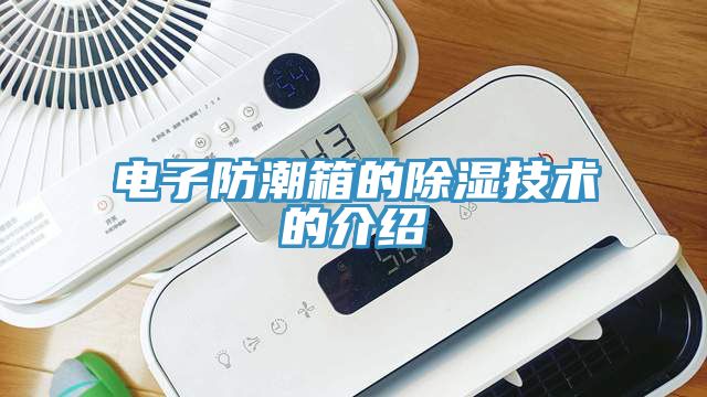 電子防潮箱的除濕技術的介紹