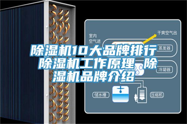 除濕機10大品牌排行 除濕機工作原理 除濕機品牌介紹