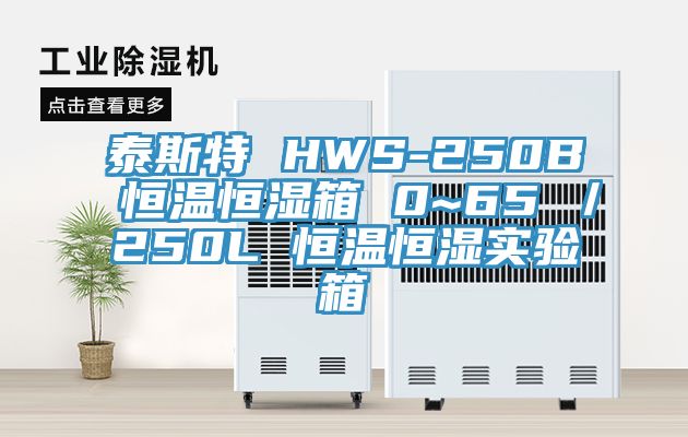 泰斯特 HWS-250B 恒溫恒濕箱 0~65℃／250L 恒溫恒濕實(shí)驗(yàn)箱