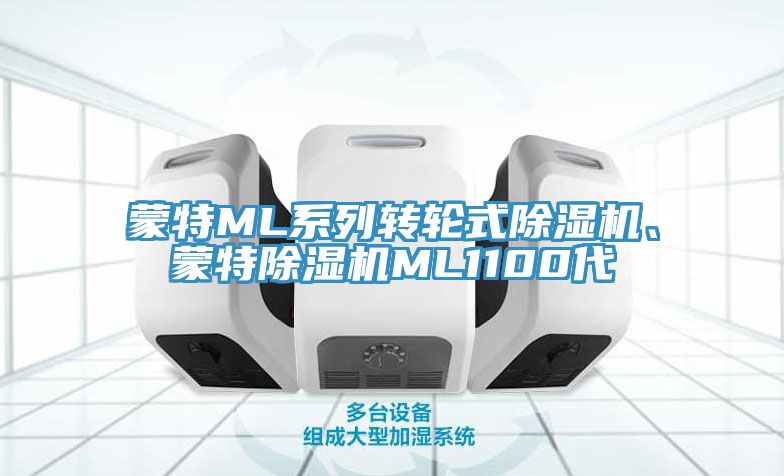 蒙特ML系列轉(zhuǎn)輪式除濕機(jī)、蒙特除濕機(jī)ML1100代