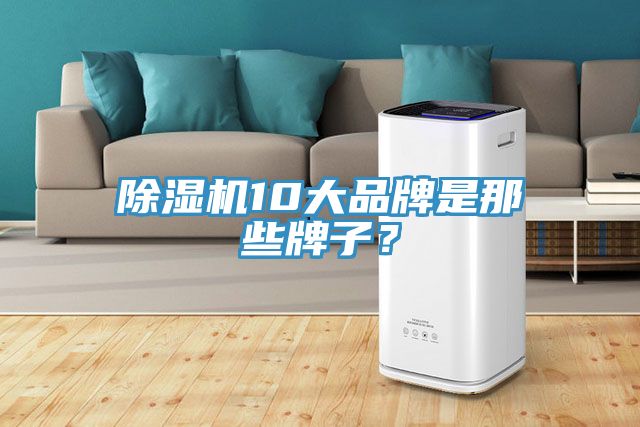 除濕機10大品牌是那些牌子？