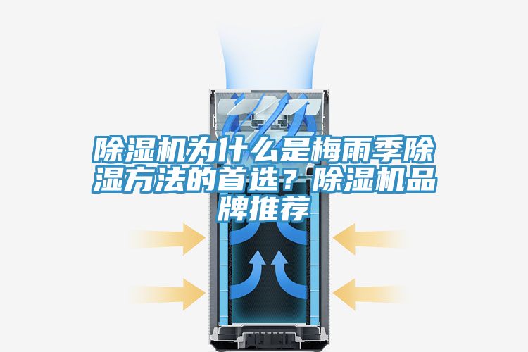 除濕機(jī)為什么是梅雨季除濕方法的首選？除濕機(jī)品牌推薦