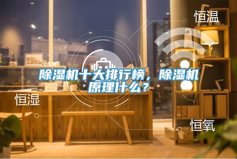 除濕機十大排行榜，除濕機原理什么？