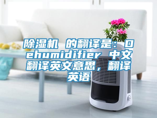 除濕機 的翻譯是：Dehumidifier 中文翻譯英文意思，翻譯英語