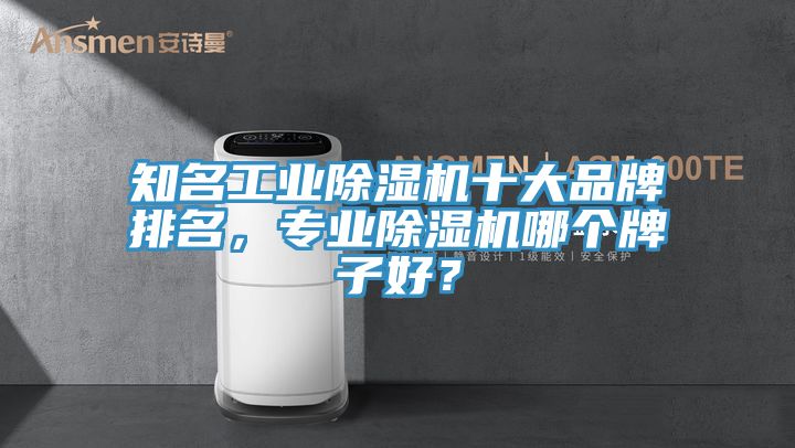 知名工業(yè)除濕機十大品牌排名，專業(yè)除濕機哪個牌子好？