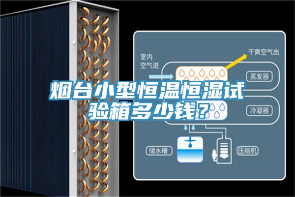 煙臺小型恒溫恒濕試驗箱多少錢？