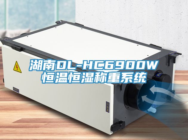 湖南DL-HC6900W恒溫恒濕稱重系統(tǒng)