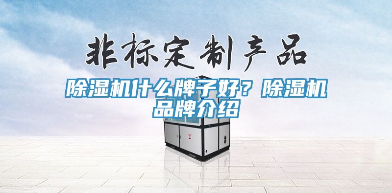 除濕機什么牌子好？除濕機品牌介紹