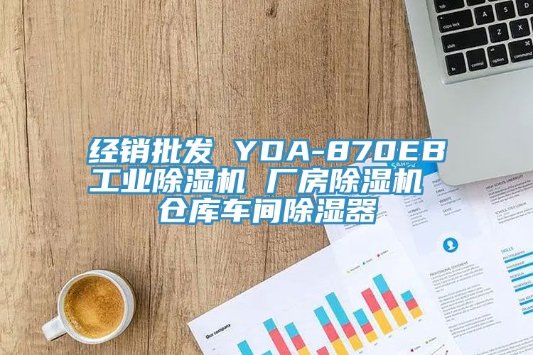 經(jīng)銷批發(fā) YDA-870EB工業(yè)除濕機 廠房除濕機 倉庫車間除濕器