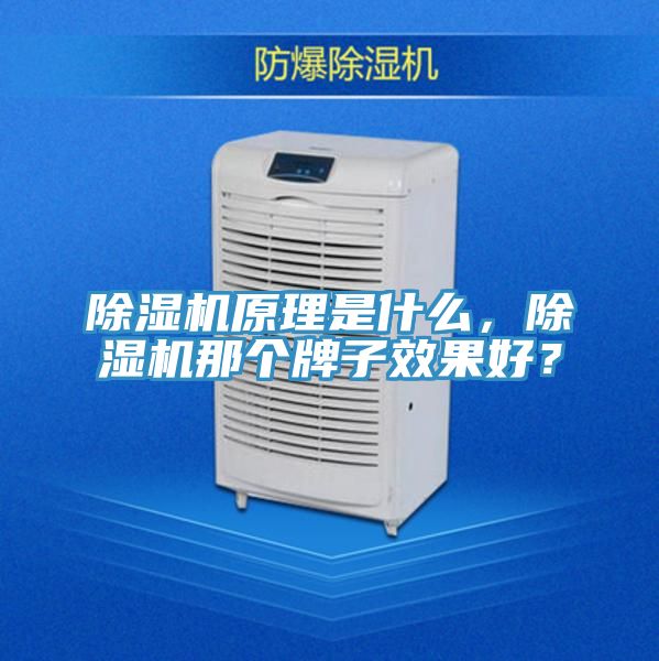 除濕機原理是什么，除濕機那個牌子效果好？