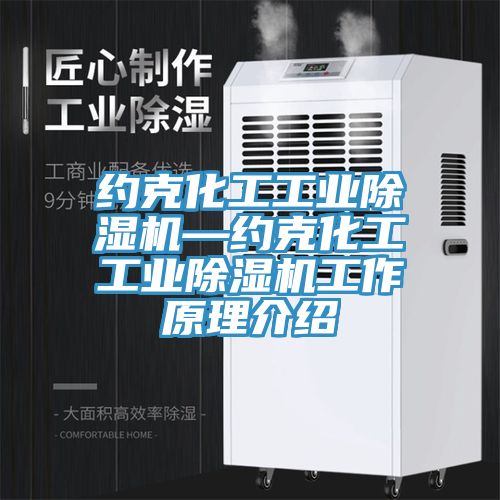 約克化工工業(yè)除濕機—約克化工工業(yè)除濕機工作原理介紹