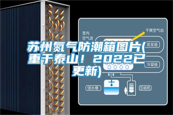 蘇州氮?dú)夥莱毕鋱D片(重于泰山！2022已更新)