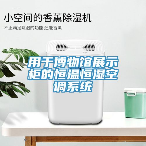 用于博物館展示柜的恒溫恒濕空調(diào)系統(tǒng)