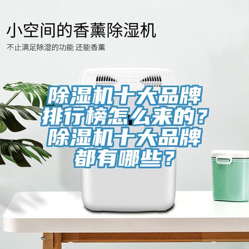 除濕機(jī)十大品牌排行榜怎么來的？除濕機(jī)十大品牌都有哪些？