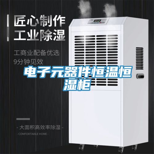 電子元器件恒溫恒濕柜